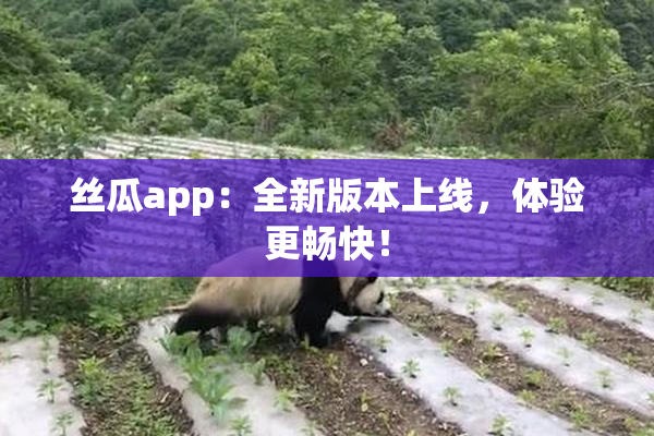 丝瓜app：全新版本上线，体验更畅快！