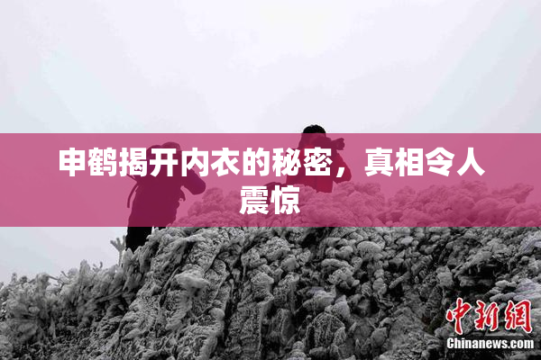 申鹤揭开内衣的秘密，真相令人震惊
