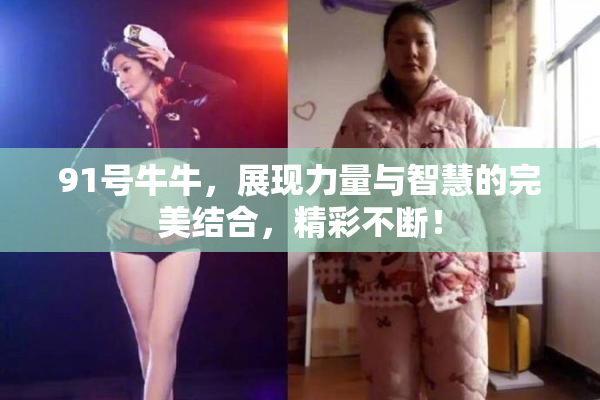 91号牛牛，展现力量与智慧的完美结合，精彩不断！