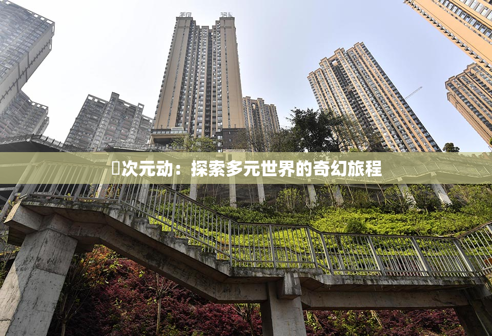 囧次元动：探索多元世界的奇幻旅程