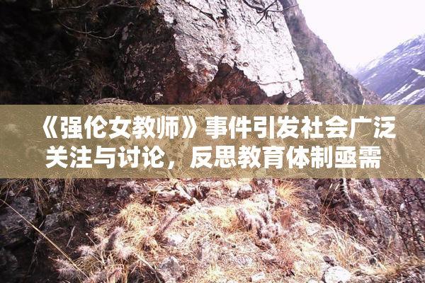 《强伦女教师》事件引发社会广泛关注与讨论，反思教育体制亟需改革
