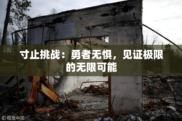 寸止挑战：勇者无惧，见证极限的无限可能