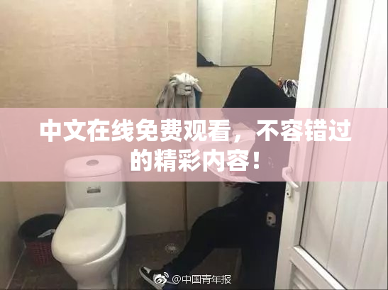 中文在线免费观看，不容错过的精彩内容！