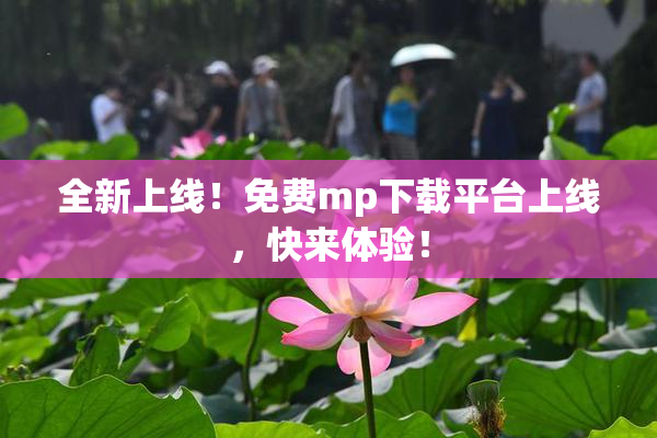 全新上线！免费mp下载平台上线，快来体验！