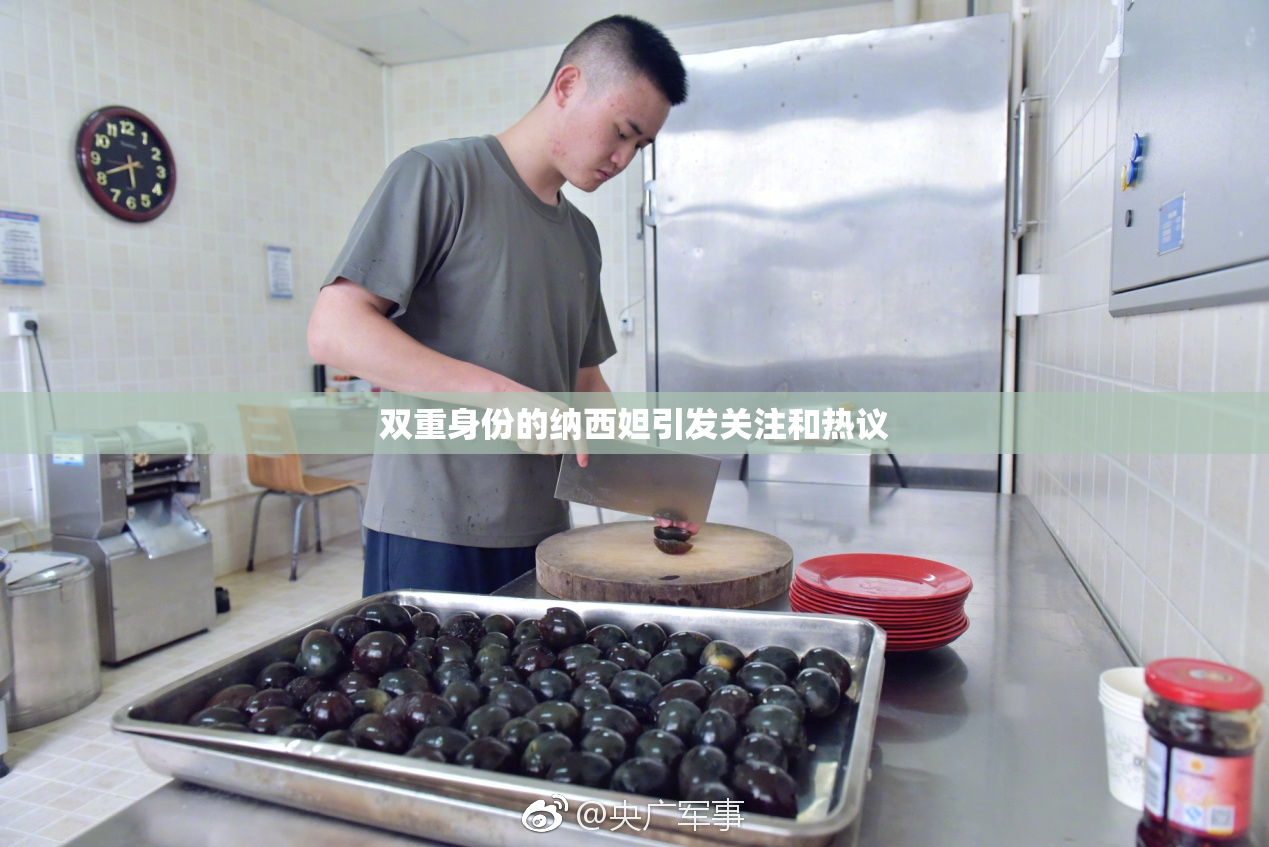 双重身份的纳西妲引发关注和热议