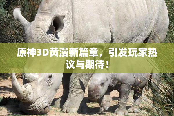 原神3D黄漫新篇章，引发玩家热议与期待！