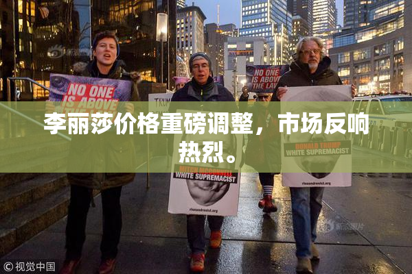 李丽莎价格重磅调整，市场反响热烈。