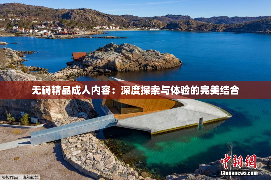 无码精品成人内容：深度探索与体验的完美结合