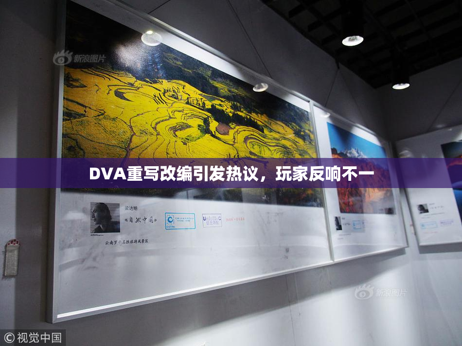 DVA重写改编引发热议，玩家反响不一