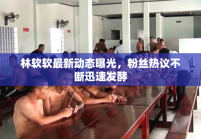 林软软最新动态曝光，粉丝热议不断迅速发酵