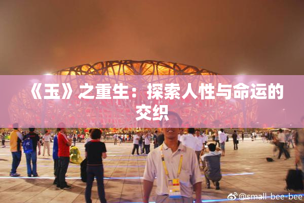 《玉》之重生：探索人性与命运的交织