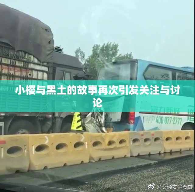 小樱与黑土的故事再次引发关注与讨论
