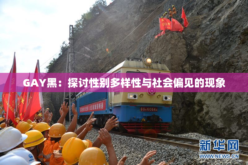 GAY黑：探讨性别多样性与社会偏见的现象