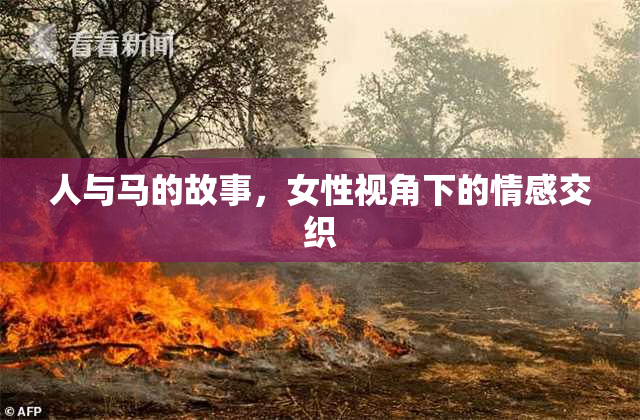 人与马的故事，女性视角下的情感交织