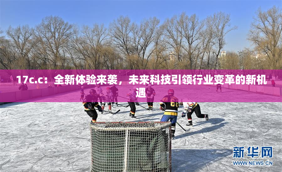 17c.c：全新体验来袭，未来科技引领行业变革的新机遇