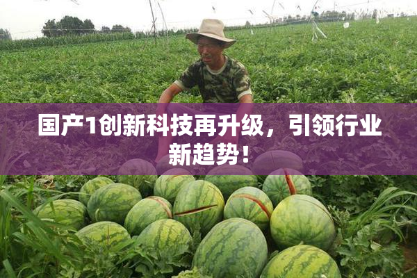 国产1创新科技再升级，引领行业新趋势！