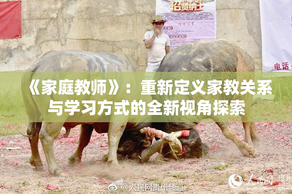 《家庭教师》：重新定义家教关系与学习方式的全新视角探索