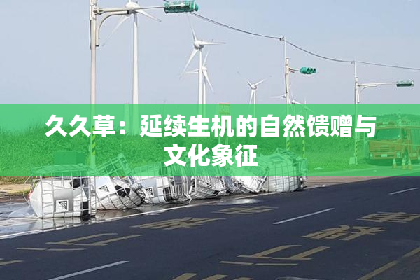 久久草：延续生机的自然馈赠与文化象征