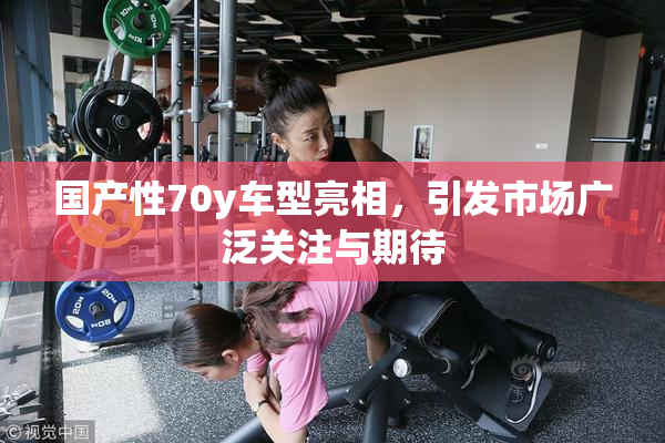 国产性70y车型亮相，引发市场广泛关注与期待