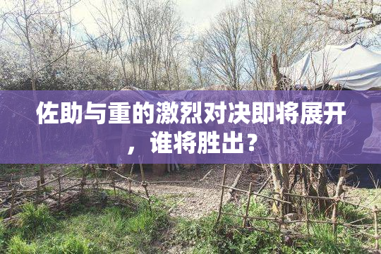 佐助与重的激烈对决即将展开，谁将胜出？