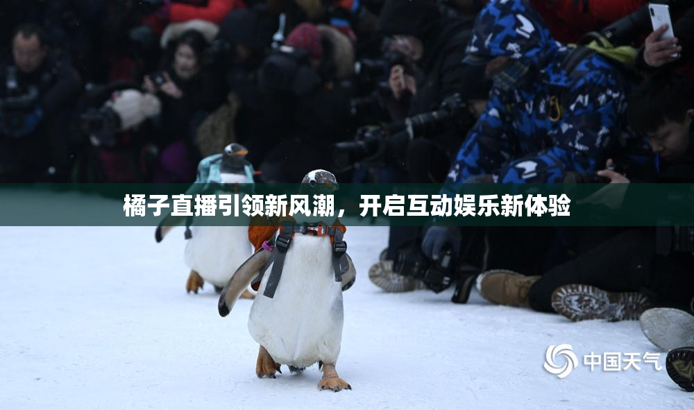 橘子直播引领新风潮，开启互动娱乐新体验