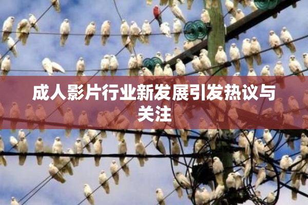 成人影片行业新发展引发热议与关注