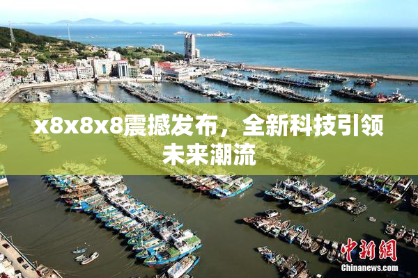 x8x8x8震撼发布，全新科技引领未来潮流