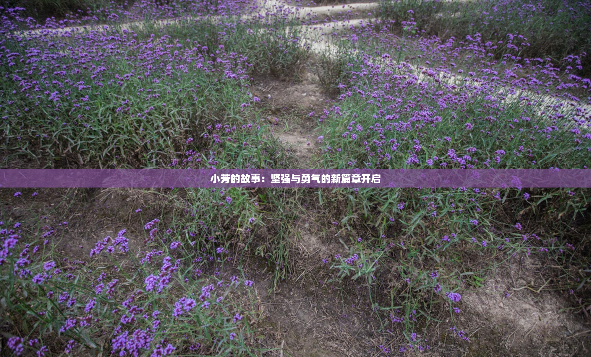 小芳的故事：坚强与勇气的新篇章开启