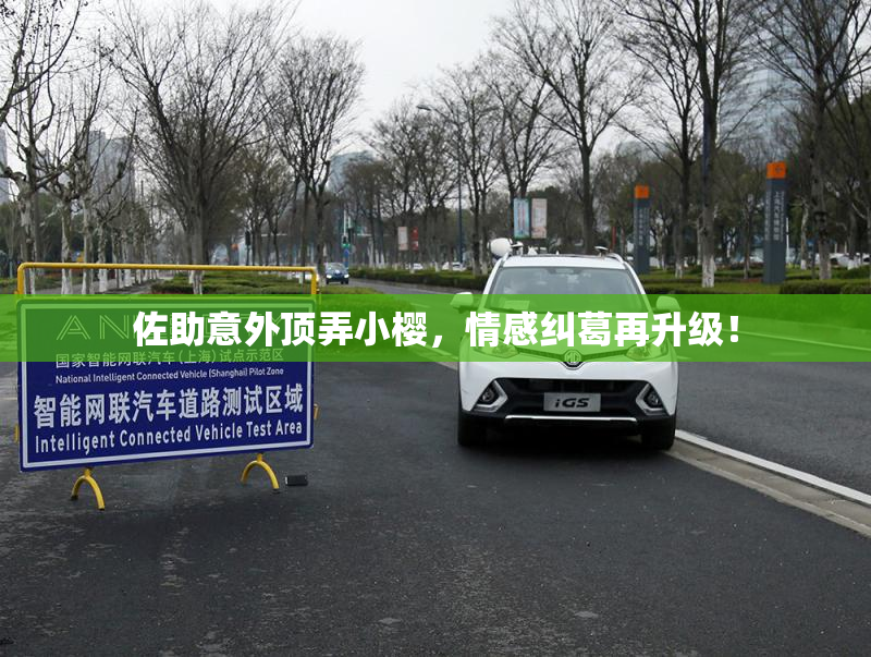 佐助意外顶弄小樱，情感纠葛再升级！