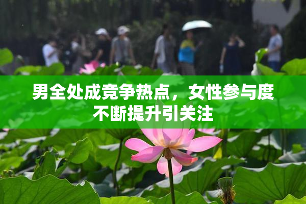 男全处成竞争热点，女性参与度不断提升引关注
