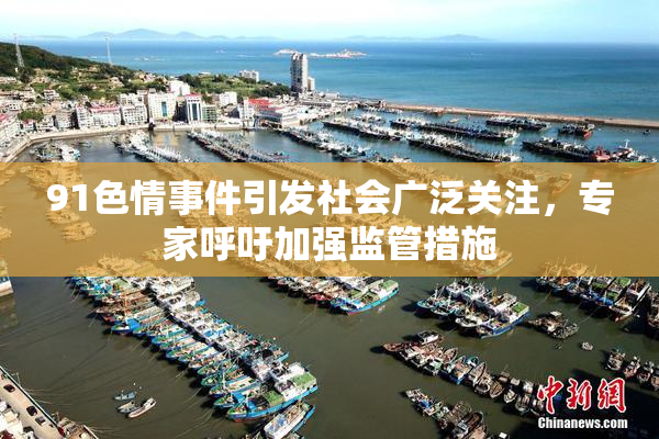 91色情事件引发社会广泛关注，专家呼吁加强监管措施