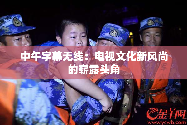 中午字幕无线：电视文化新风尚的崭露头角