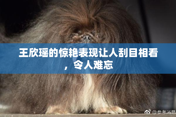 王欣瑶的惊艳表现让人刮目相看，令人难忘