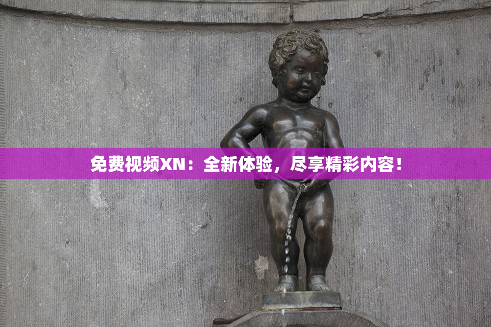 免费视频XN：全新体验，尽享精彩内容！