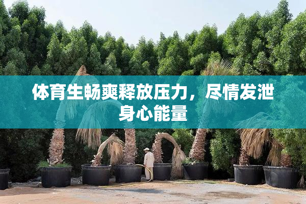 体育生畅爽释放压力，尽情发泄身心能量