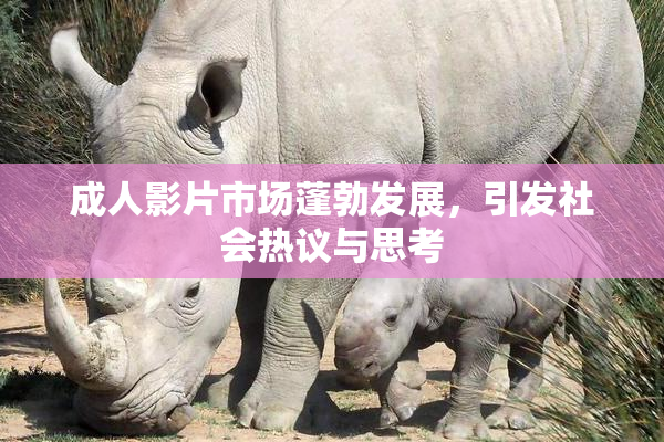 成人影片市场蓬勃发展，引发社会热议与思考
