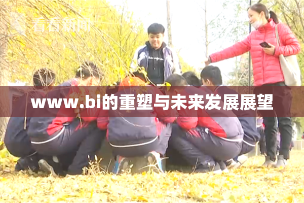 www.bi的重塑与未来发展展望
