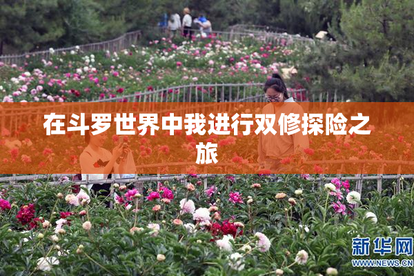 在斗罗世界中我进行双修探险之旅
