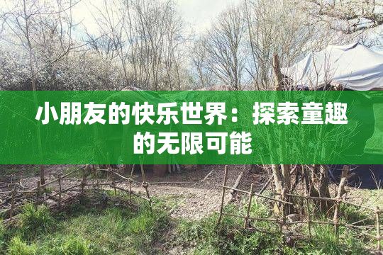 小朋友的快乐世界：探索童趣的无限可能