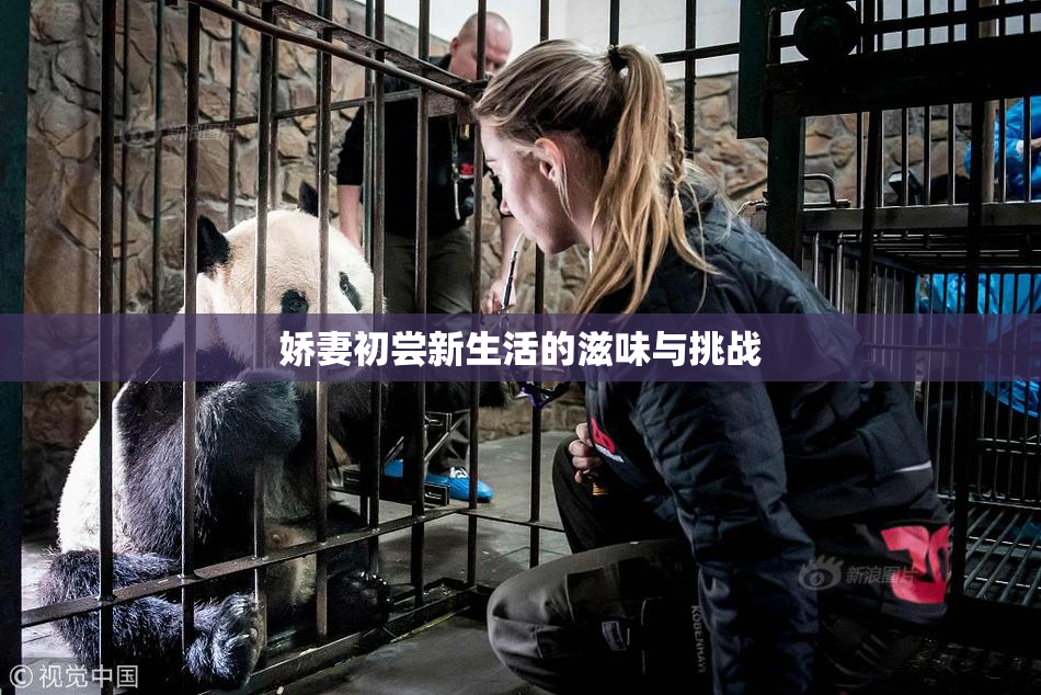 娇妻初尝新生活的滋味与挑战