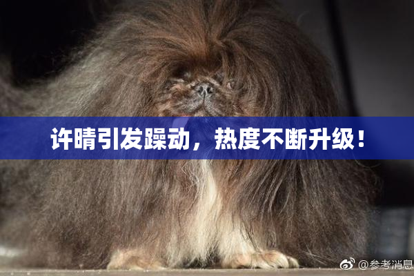 许晴引发躁动，热度不断升级！