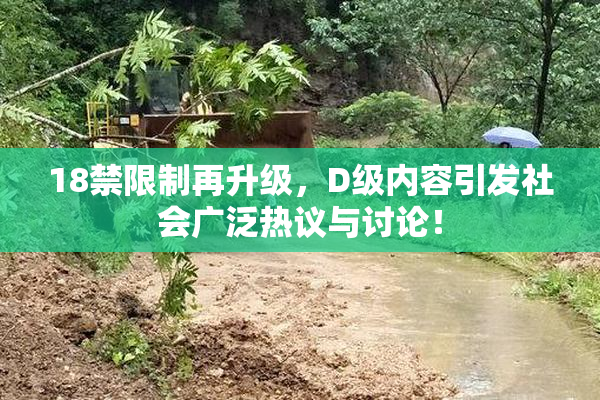18禁限制再升级，D级内容引发社会广泛热议与讨论！