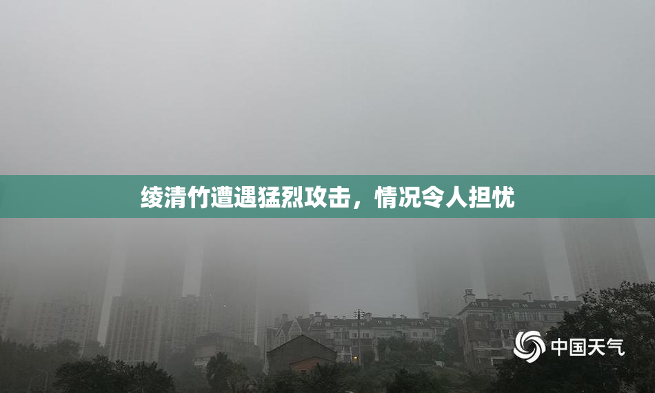 绫清竹遭遇猛烈攻击，情况令人担忧