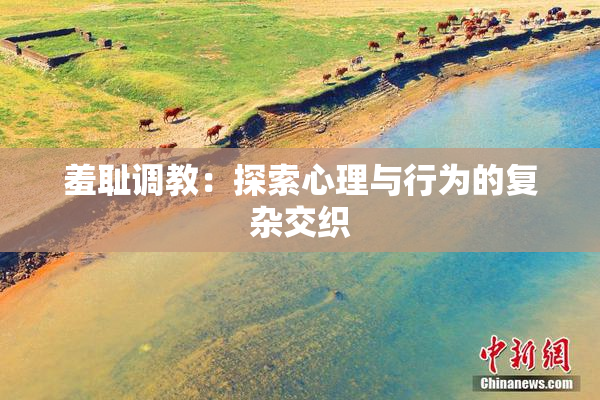 羞耻调教：探索心理与行为的复杂交织