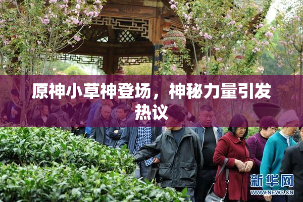 原神小草神登场，神秘力量引发热议
