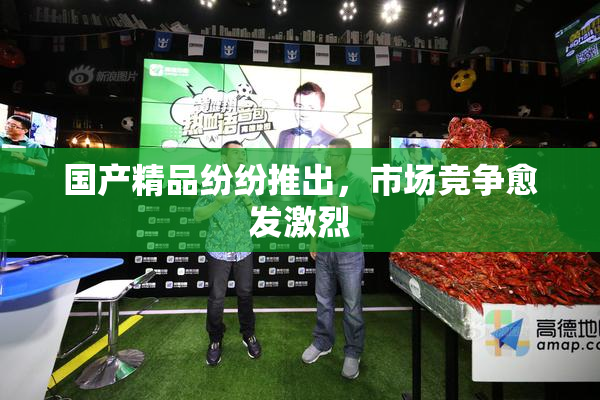 国产精品纷纷推出，市场竞争愈发激烈