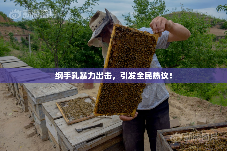纲手乳暴力出击，引发全民热议！