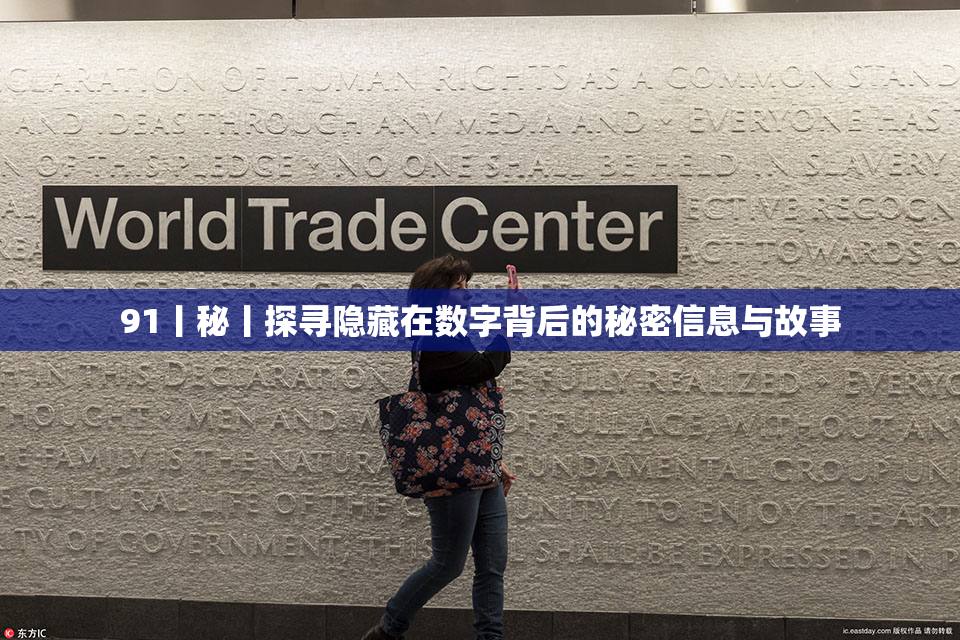 91丨秘丨探寻隐藏在数字背后的秘密信息与故事