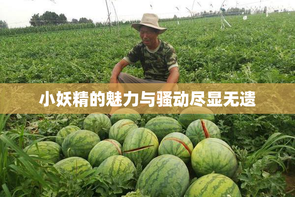 小妖精的魅力与骚动尽显无遗