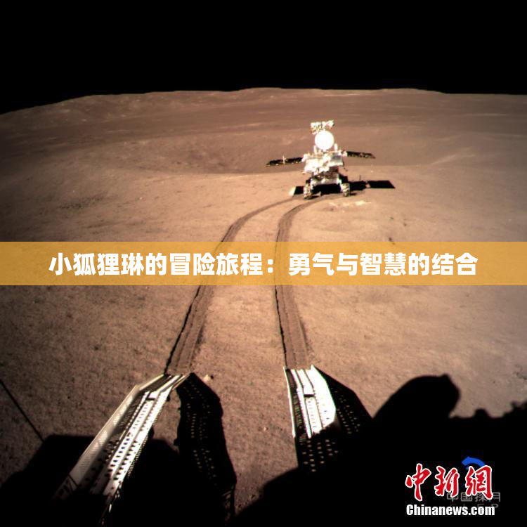 小狐狸琳的冒险旅程：勇气与智慧的结合